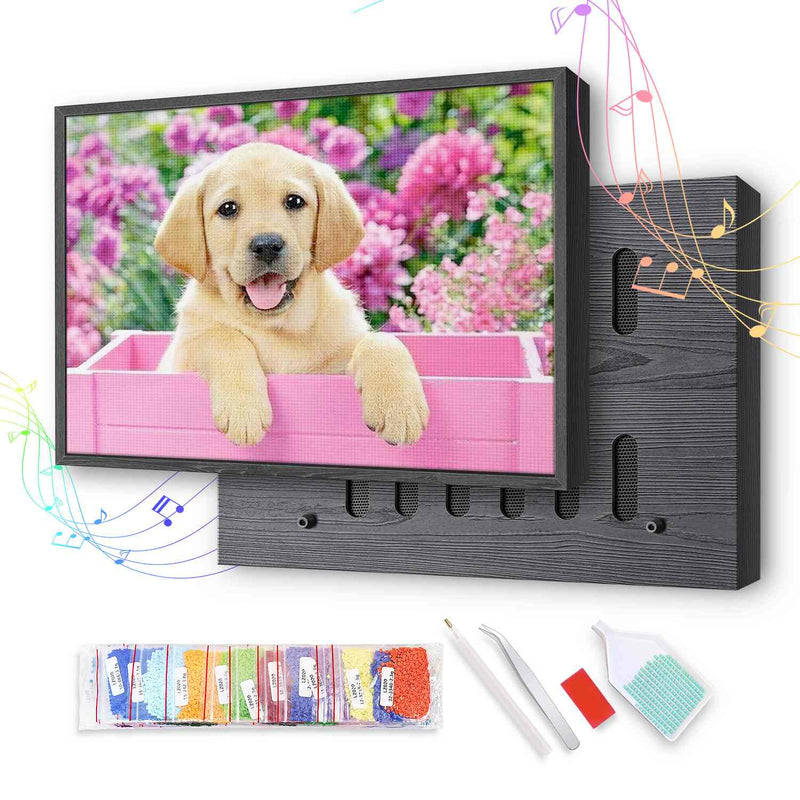  Adorable Labrador Puppy