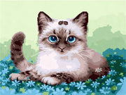 Floral Cat