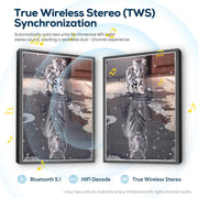 Cat & Tiger Reflection