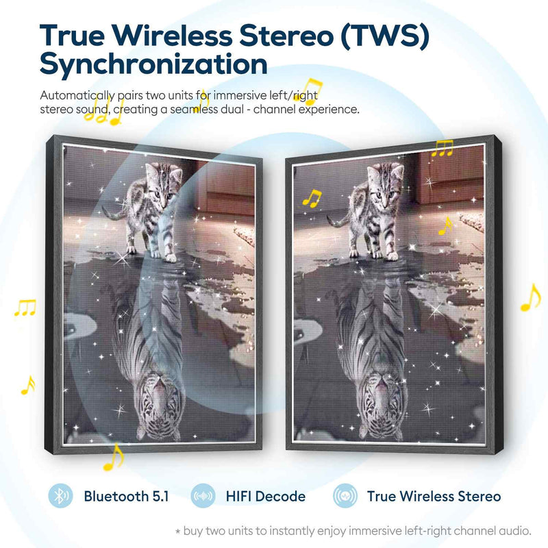 Cat & Tiger Reflection