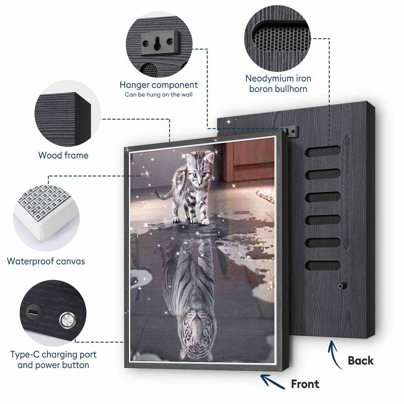 Cat & Tiger Reflection