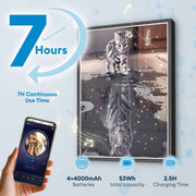 Cat & Tiger Reflection