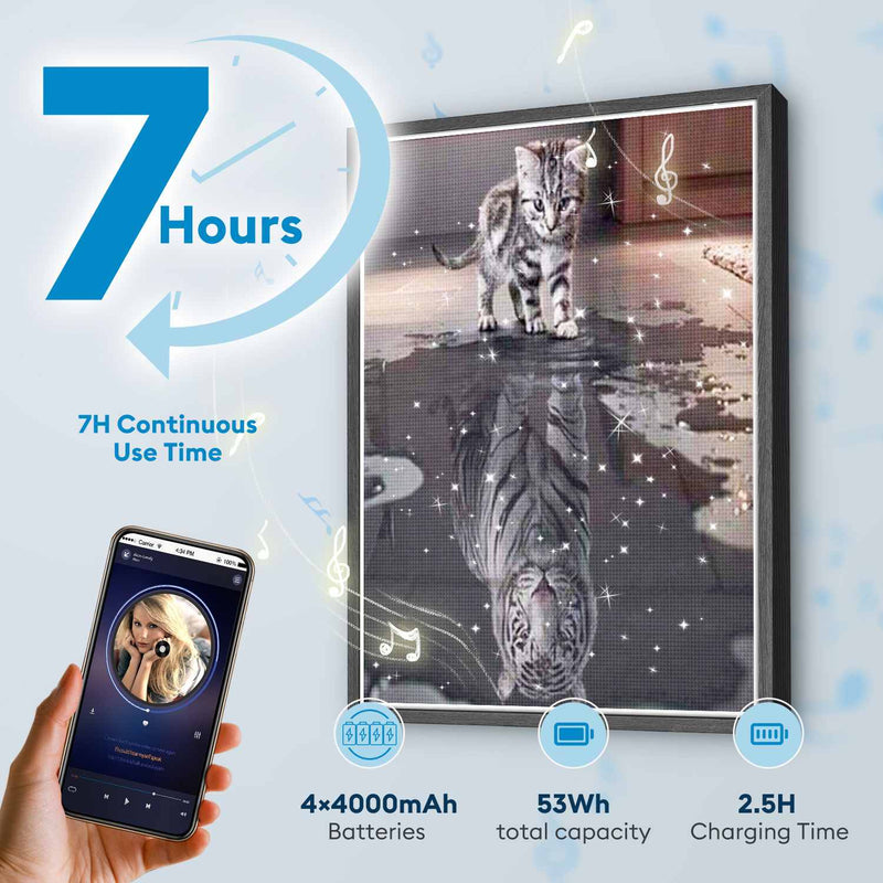 Cat & Tiger Reflection