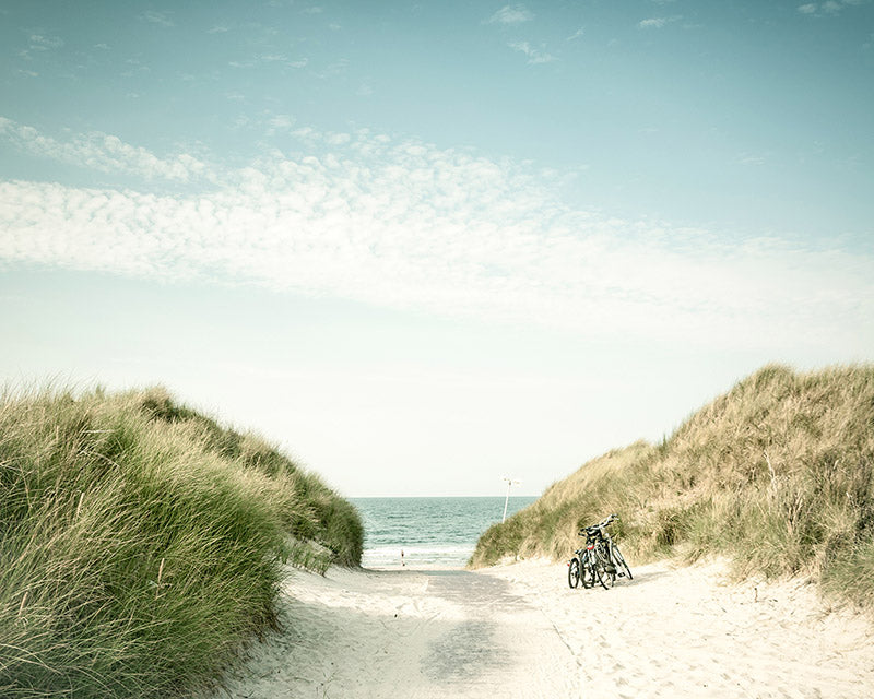 Coastal Dunes Bike Path