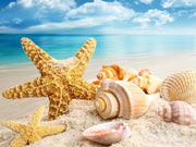  Coastal Starfish & Seashell 