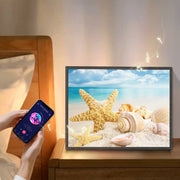  Coastal Starfish & Seashell 