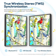 Colorful Birch Birds 