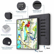 Colorful Birch Birds 