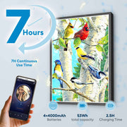 Colorful Birch Birds 