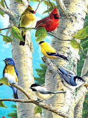 Colorful Birch Birds 