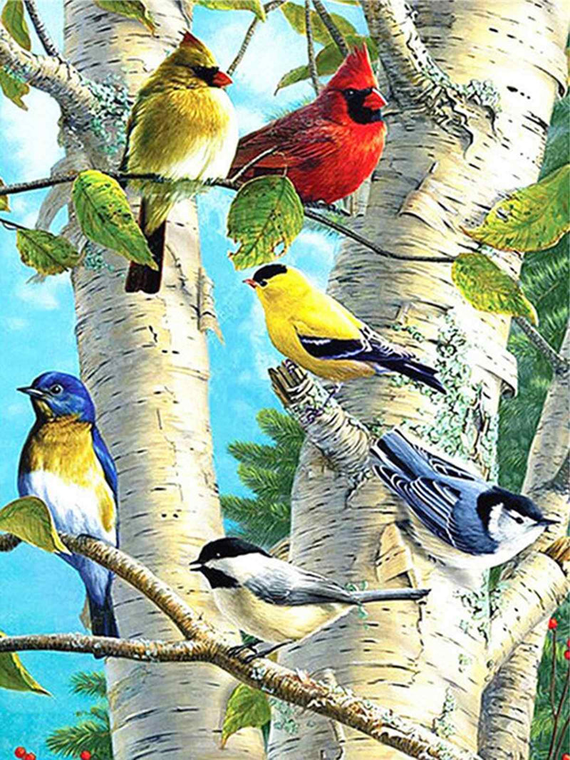 Colorful Birch Birds 