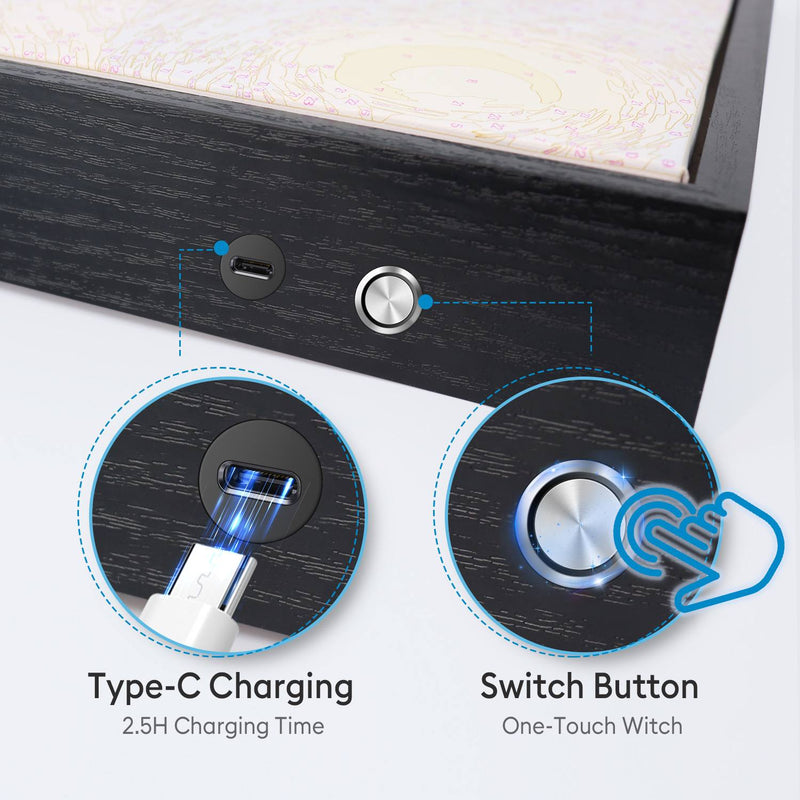 DIY Sound & Art Fusion Wall Speaker Diamond Painting