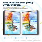 Four Seasons Reflection Tree