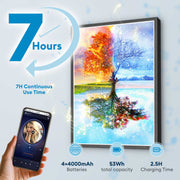 Four Seasons Reflection Tree