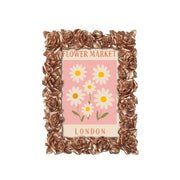 London Daisy Flower