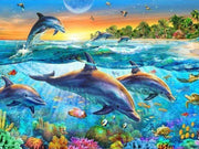 Ocean Dolphin