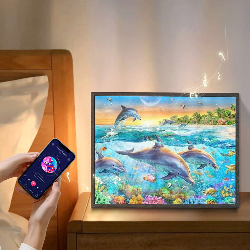 Ocean Dolphin
