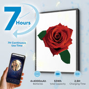 Romantic Red Rose