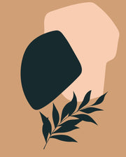 Sage & Sand – Paint by Numbers Craftonie