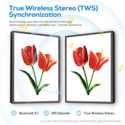Scarlet Tulips