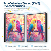 Sunset Parrot Pair