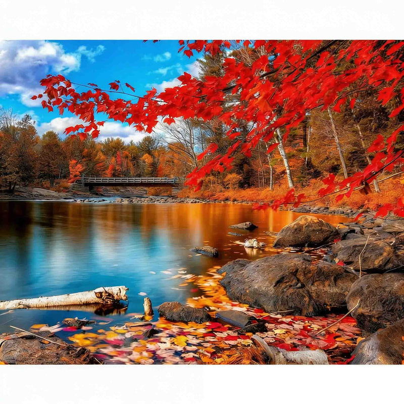 Autumn River Red Maple